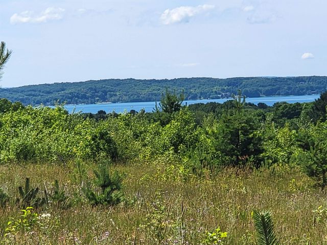 Parcel D Cemetery Road, Alden, MI 49612