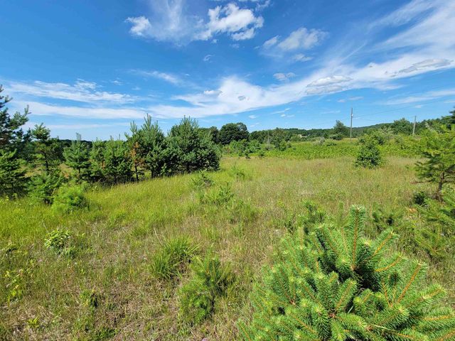 Parcel D Cemetery Road, Alden, MI 49612