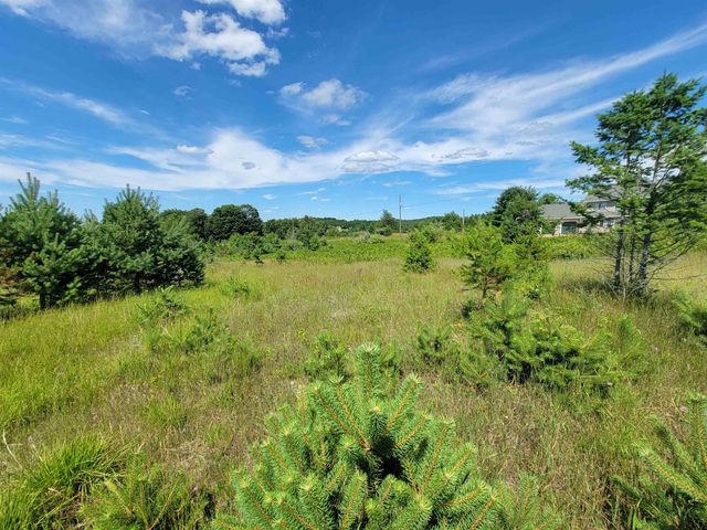 Parcel D Cemetery Road, Alden, MI 49612