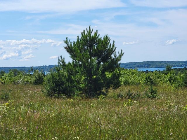 Parcel D Cemetery Road, Alden, MI 49612