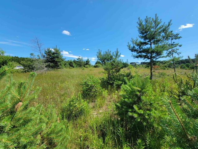 Parcel D Cemetery Road, Alden, MI 49612