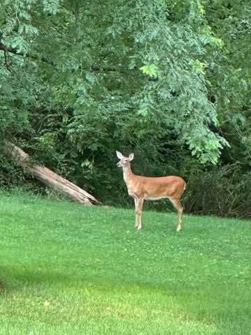 1252 Spruce Avenue 1252 Spruce Avenue, Sidney, OH 45365