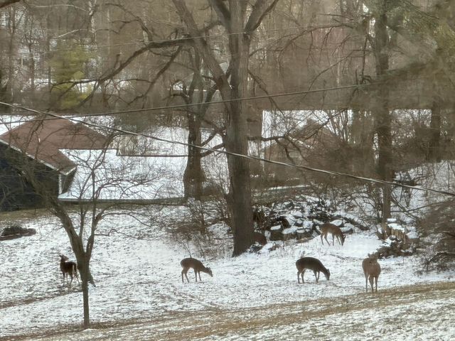 1252 Spruce Avenue 1252 Spruce Avenue, Sidney, OH 45365