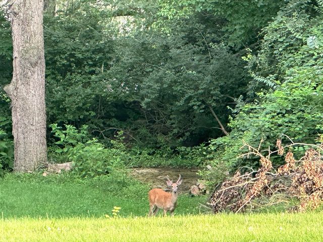 1252 Spruce Avenue 1252 Spruce Avenue, Sidney, OH 45365