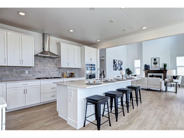 16839 Black Rose Cir, Parker, CO 80134