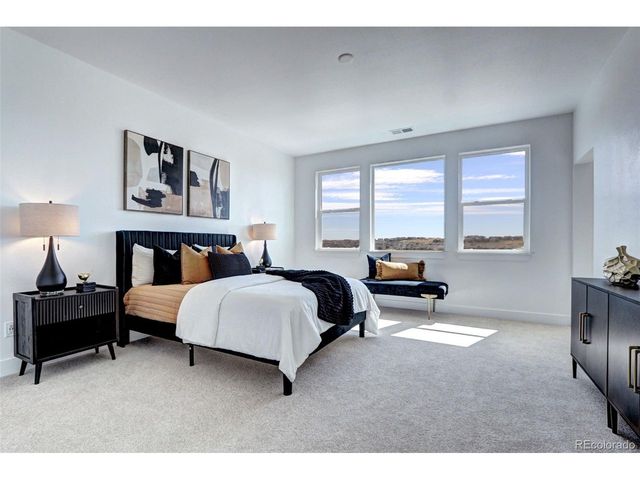 16839 Black Rose Cir, Parker, CO 80134