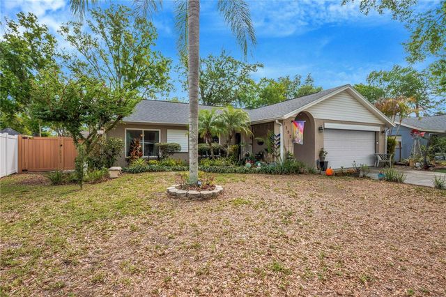 13921 CHERRY DALE LANE, Tampa, FL 33618