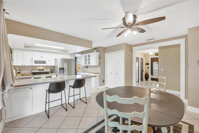 13921 CHERRY DALE LANE, Tampa, FL 33618