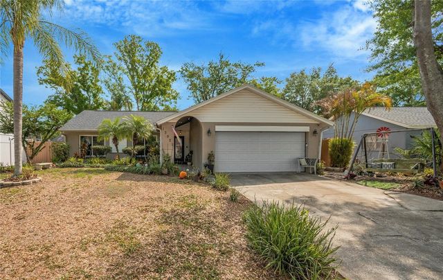 13921 CHERRY DALE LANE, Tampa, FL 33618