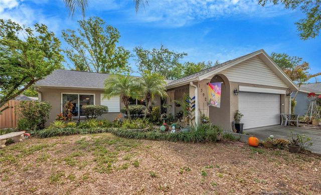 13921 CHERRY DALE LANE, Tampa, FL 33618