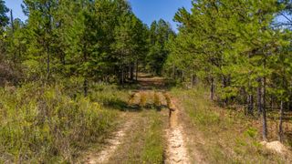 0 Happy Hollow, Hohenwald, TN 38462