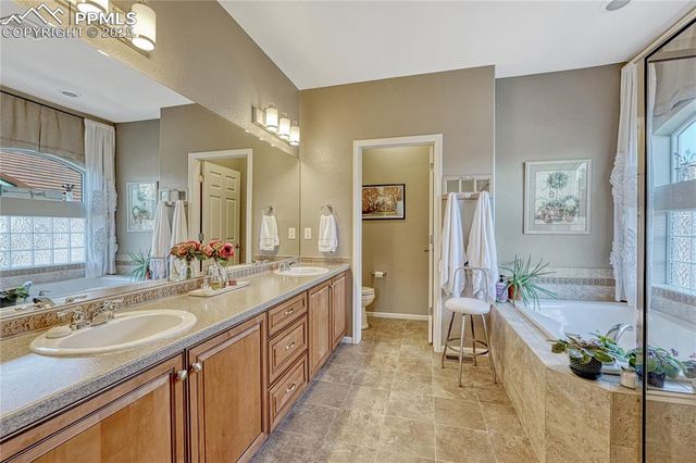 1410 Exquisite Street, Castle Rock, CO 80109