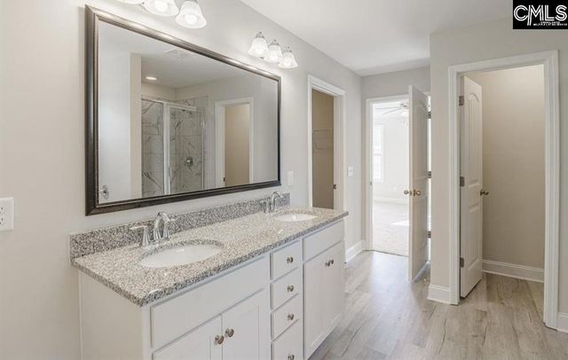 239 Doolittle Drive, Chapin, SC 29036