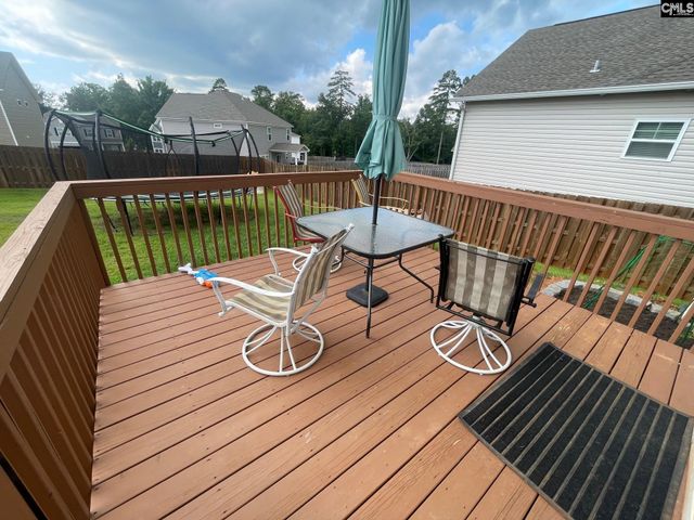239 Doolittle Drive, Chapin, SC 29036