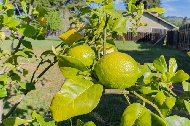 3585 Viola Drive, Aromas, CA 95004