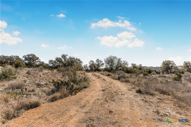 Lot 48 Inksview Lane, Kingsland, TX 78639