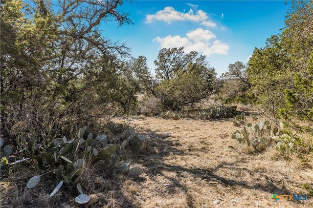 Lot 48 Inksview Lane, Kingsland, TX 78639