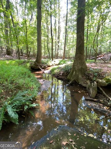 0 Springdale Drive, Palmetto, GA 30268