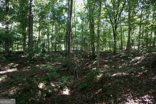 0 Springdale Drive, Palmetto, GA 30268