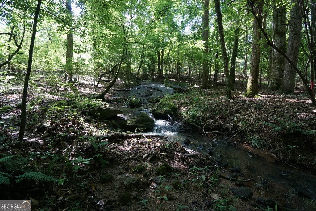 0 Springdale Drive, Palmetto, GA 30268