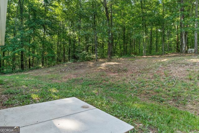 2430 Highway 85, Senoia, GA 30276
