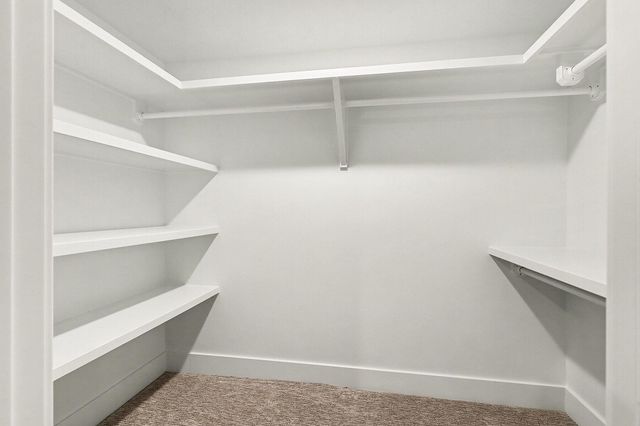 8134 Birchwood Avenue, Jenison, MI 49428