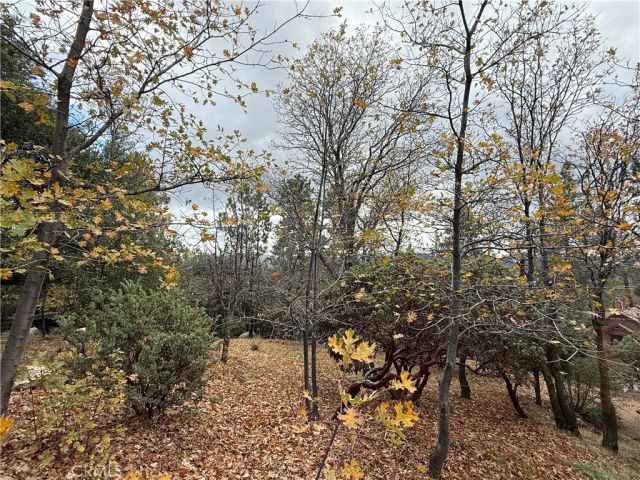 0 Yosemite, Lake Arrowhead, CA 92352