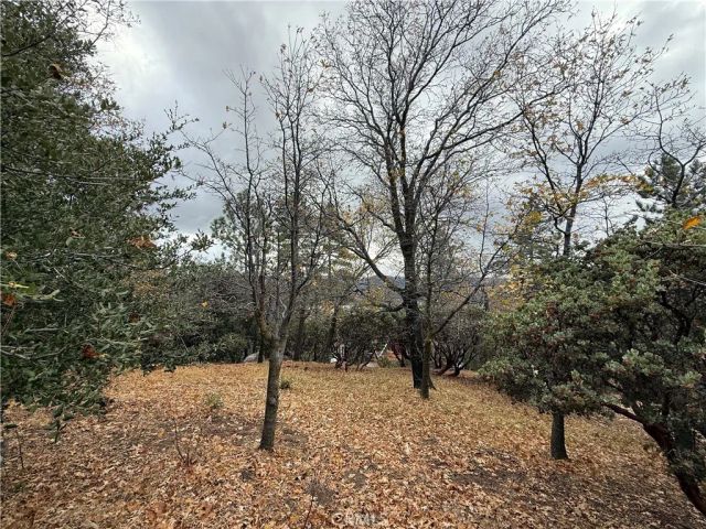 0 Yosemite, Lake Arrowhead, CA 92352