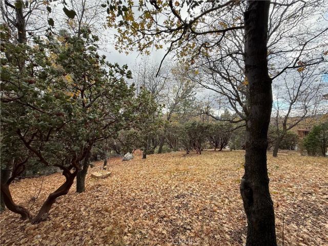 0 Yosemite, Lake Arrowhead, CA 92352