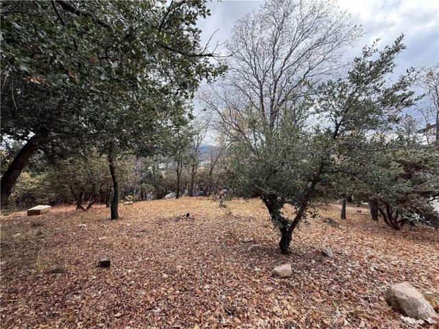 0 Yosemite, Lake Arrowhead, CA 92352