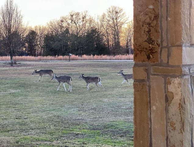 632 County Road 1952, Yantis, TX 75497