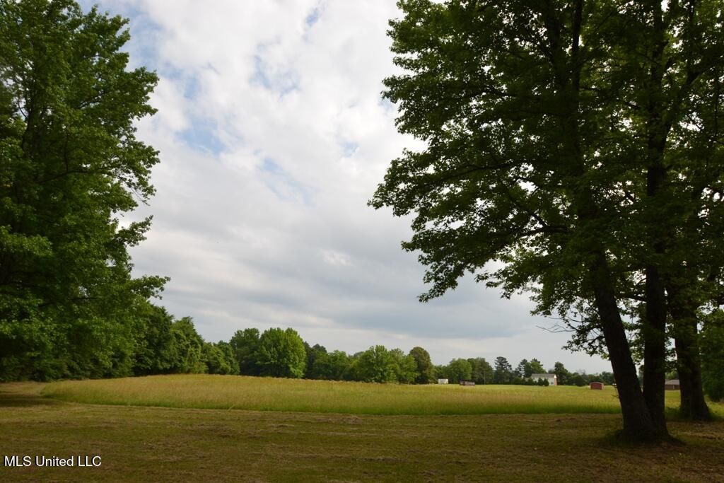 10719 Highway 178, Olive Branch, MS 38654 — photo 2