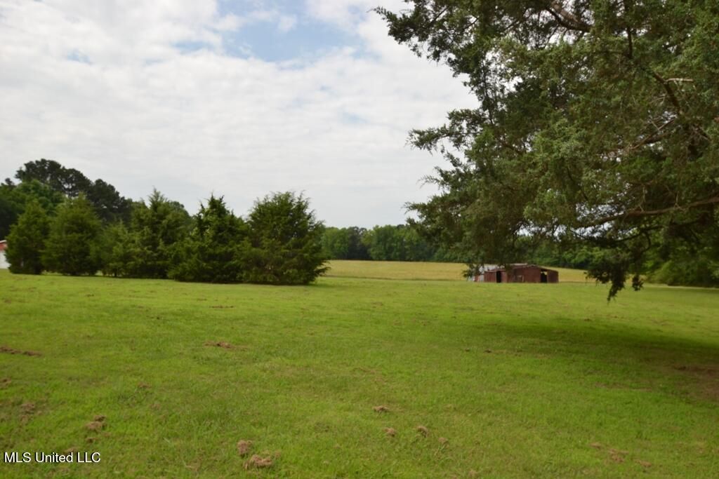 10719 Highway 178, Olive Branch, MS 38654 — photo 3