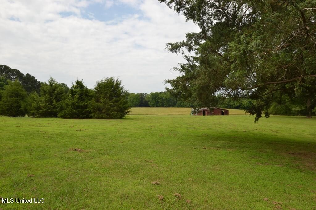 10719 Highway 178, Olive Branch, MS 38654 — photo 5