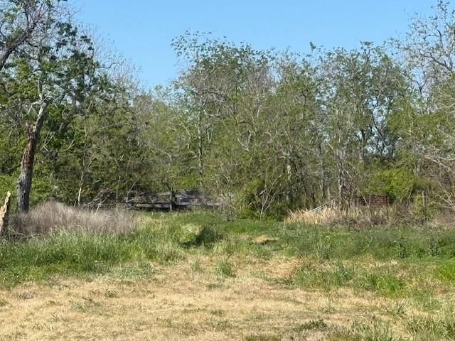 12217 Fm 1462, Alvin, TX 77511