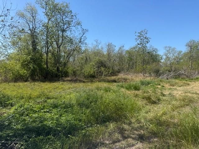 12217 Fm 1462, Alvin, TX 77511