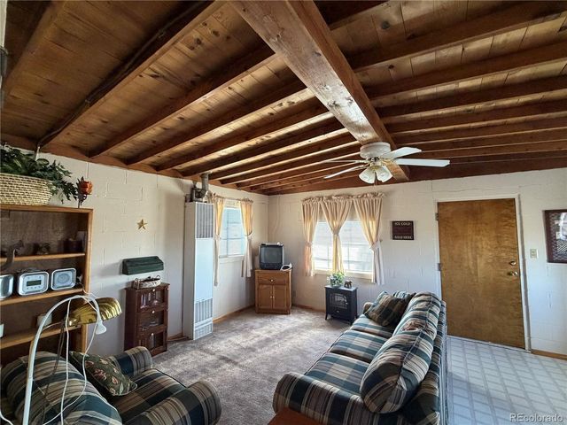 101 Doe St, Hartsel, CO 80449