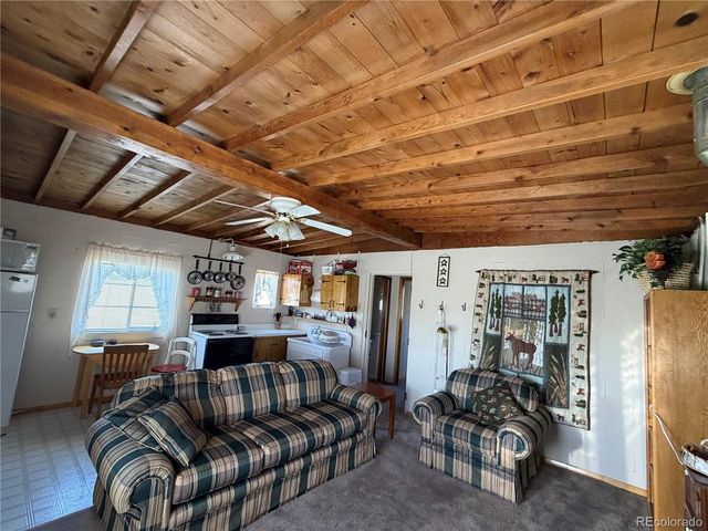 101 Doe St, Hartsel, CO 80449