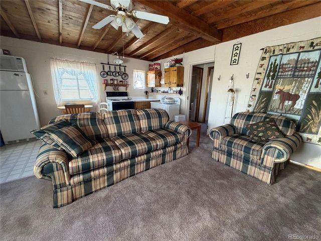 101 Doe St, Hartsel, CO 80449