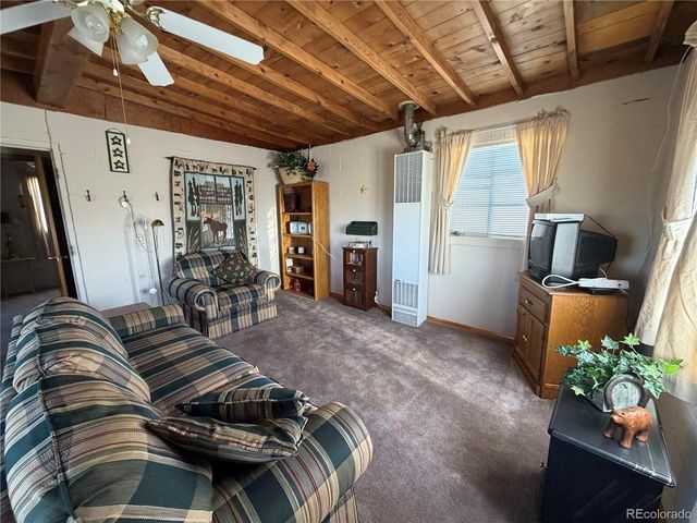 101 Doe St, Hartsel, CO 80449
