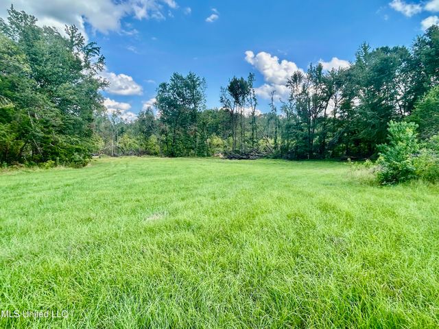 215 Co Rd 369, Carrollton, MS 38917