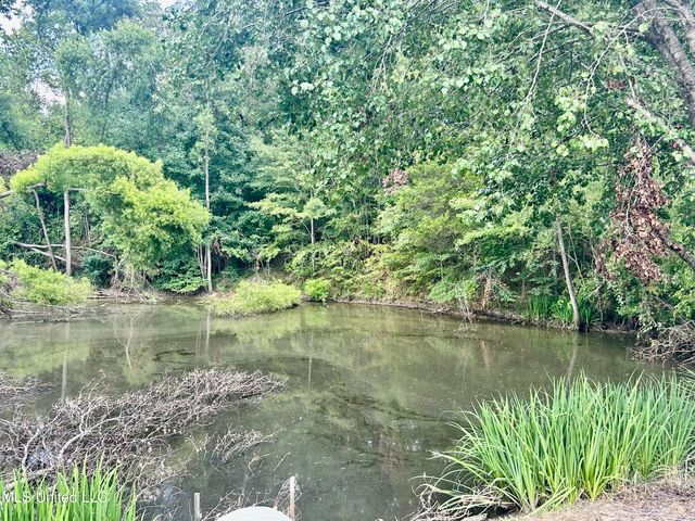 215 Co Rd 369, Carrollton, MS 38917
