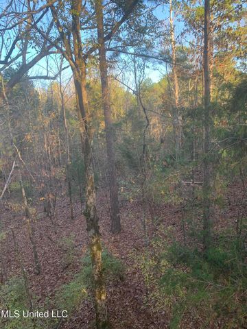 215 Co Rd 369, Carrollton, MS 38917