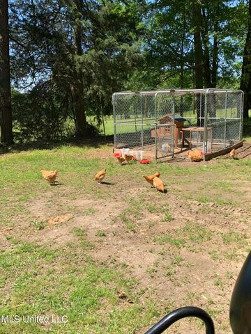 215 Co Rd 369, Carrollton, MS 38917