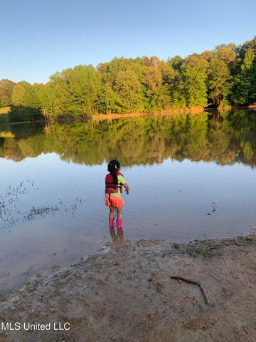 215 Co Rd 369, Carrollton, MS 38917