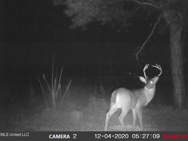 215 Co Rd 369, Carrollton, MS 38917