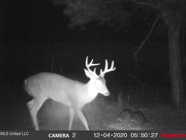 215 Co Rd 369, Carrollton, MS 38917