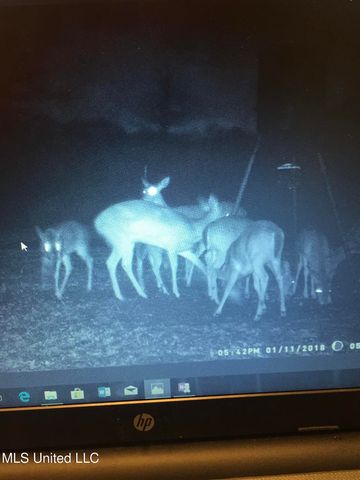 215 Co Rd 369, Carrollton, MS 38917