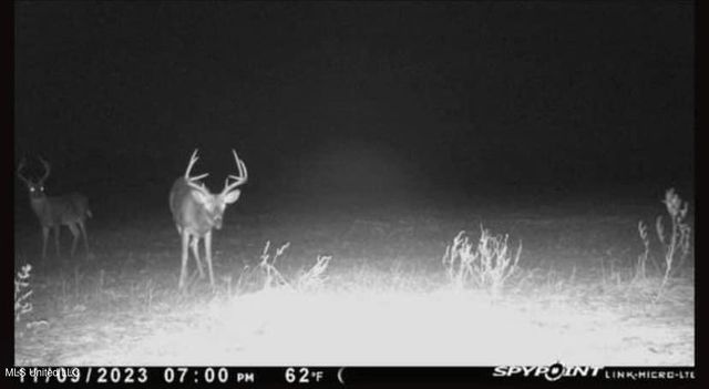 215 Co Rd 369, Carrollton, MS 38917