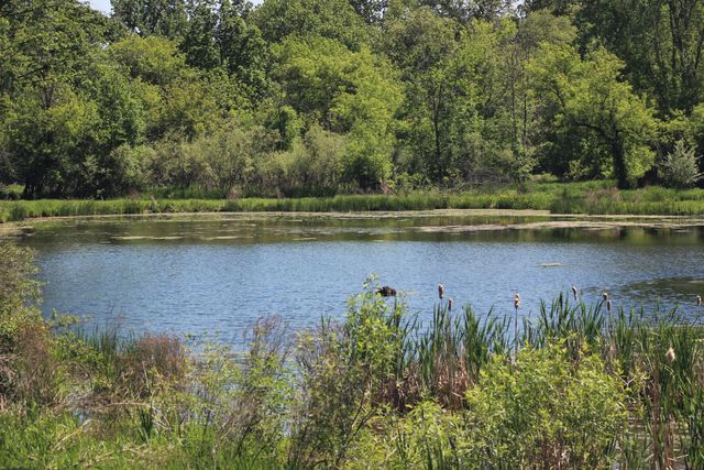 4861 Chauncey Drive Ne, Cannon Twp, MI 49306